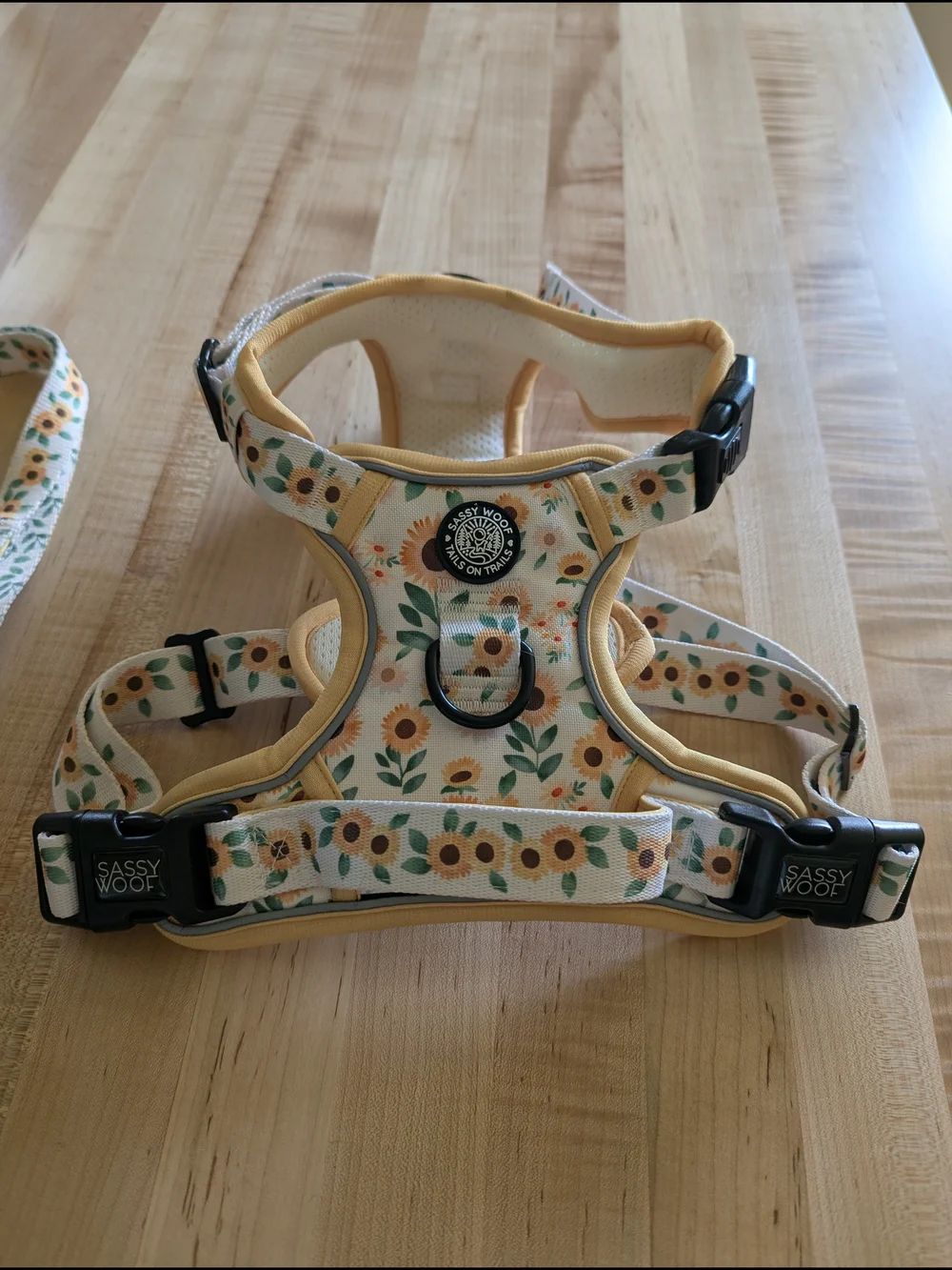 Yellow Sunflower Kids Dog Harness & Leash Set
